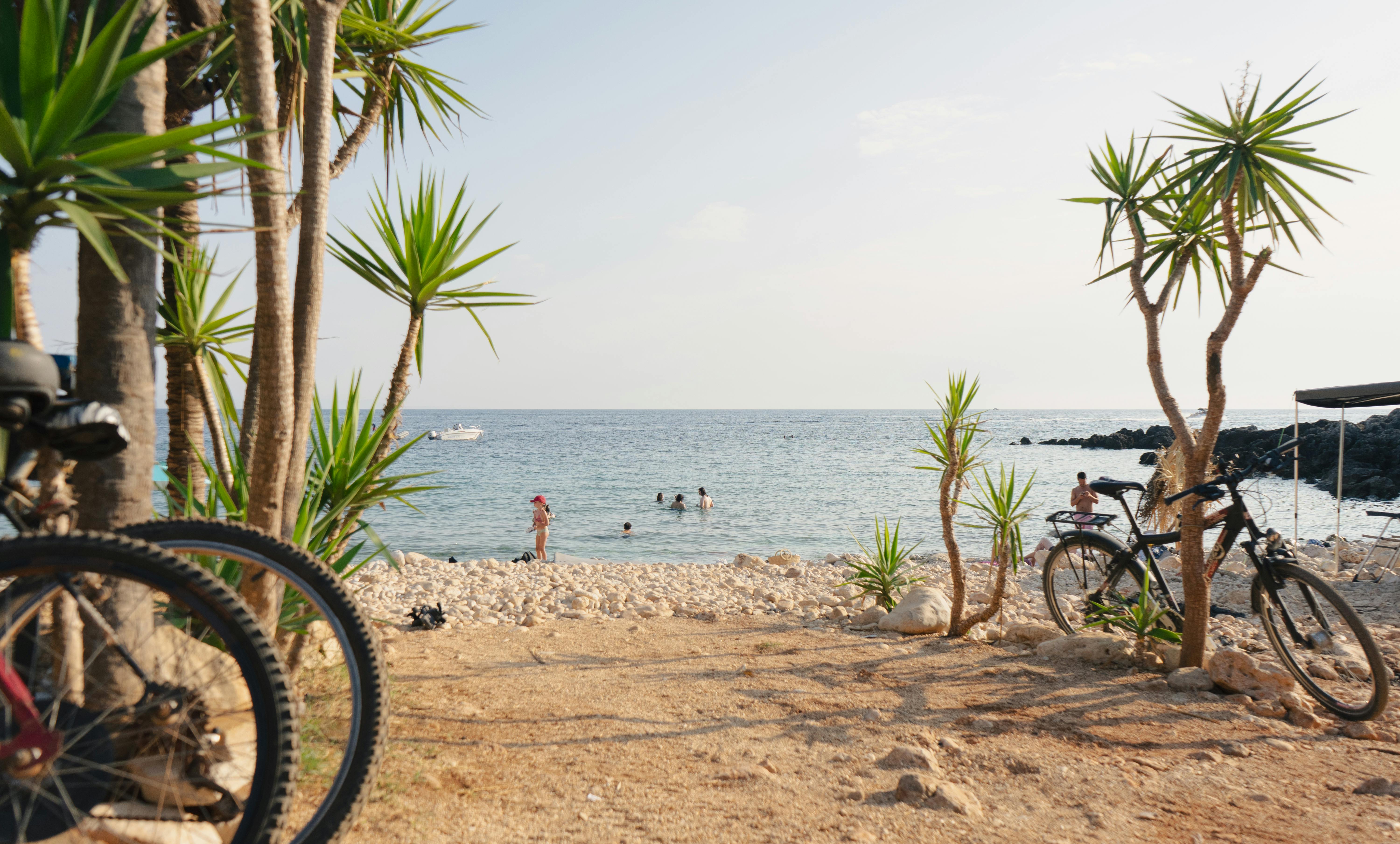 Bikes on the beach leaning against palm trees Photo by Sabina Kallari: https://www.pexels.com/photo/two-bicycles-parked-on-the-beach-near-palm-trees-28197407/